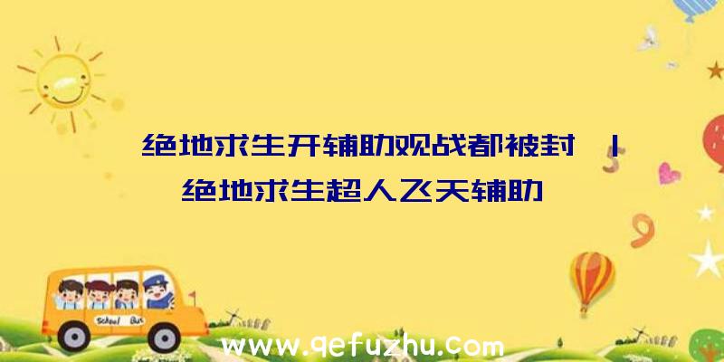 「绝地求生开辅助观战都被封」|绝地求生超人飞天辅助